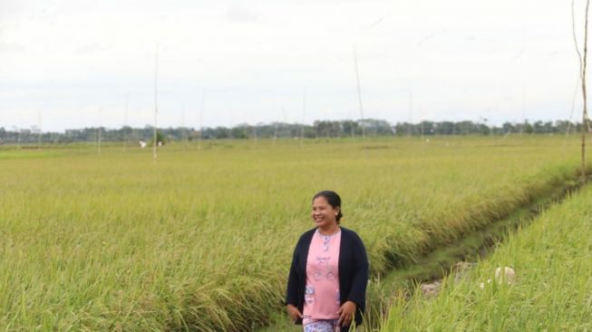 Cegah Alih Fungsi Lahan Pertanian, Pemerintah Siapkan Insentif bagi Petani