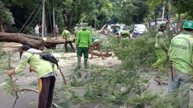 Tertimpa Pohon Tumbang di Kawasan Tanah Abang, Mobil Sudinaker Jakpus Rusak