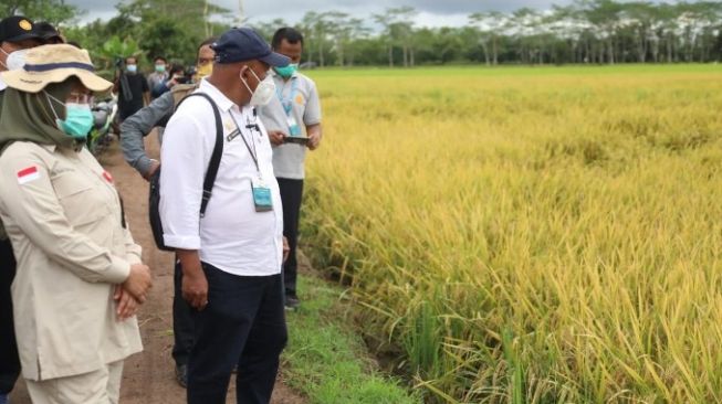 Dampak Food Estate di Kalteng, Sejumlah Infrastruktur Desa Dibangun