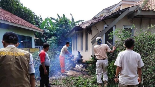 Diterjang Angin Kencang, Pohon Tumbang Timpa Kantor Kelurahan Kalitimbang