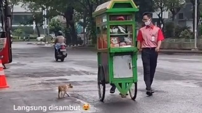 Viral Tukang Bubur Disambut Kucing Liar, Warganet: Kucing Bawa Rezeki