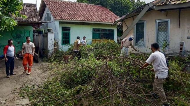 Petugas BPBD Cilegon memotong pohon tumbang yang menimpa Kelurahan Kalitimbang, Jumat (5/2/2021). [Ist]