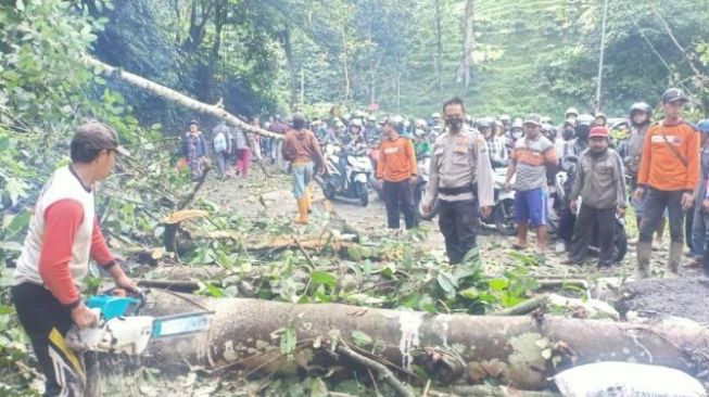 pohon tumbang menutup jalur Gumitir Banyuwangi, Sabtu (6/2/2021). [Foto: Polsek Silo/Istimewa]