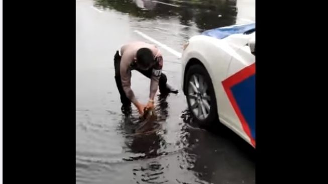 Viral Aksi Polisi Selamatkan Nyawa Ikan Lele di Jalan, Warganet Jadi Salfok