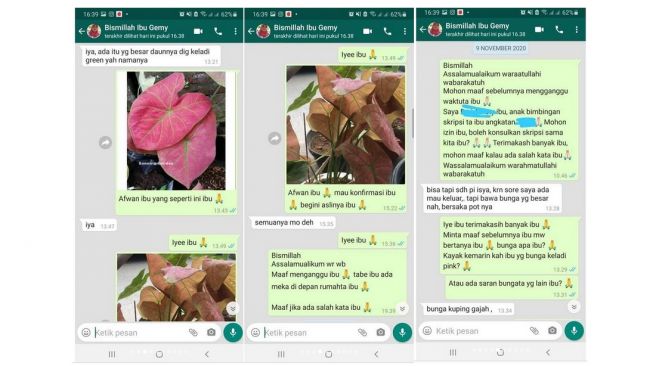 Curhatan Mahasiswa Skripsi Harus Bawa Tanaman Hias oleh Oknum Dosen UIN Alauddin Makassar (instagram.com/undercover.id)