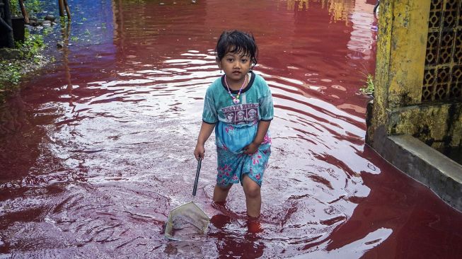 Seorang anak kecil bermain di jalan perkampungan yang tergenang banjir berwarna merah di Jenggot, Pekalongan, Jawa Tengah, Sabtu (6/2/2021). [ANTARA FOTO/Harviyan Perdana Putra]