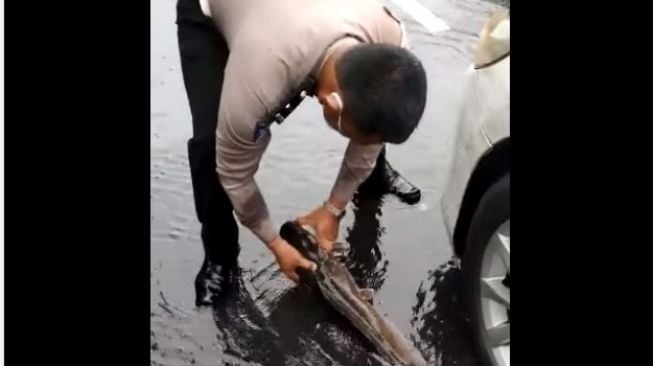 Aksi polisi selamatkan nyhawa ikan di jalan bikin warganet salfok (Facebook)