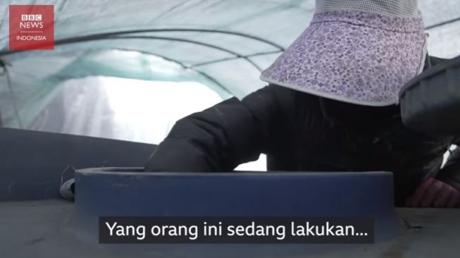 Pekerja Migran di Korea Selatan: Hidup Serba Kekurangan