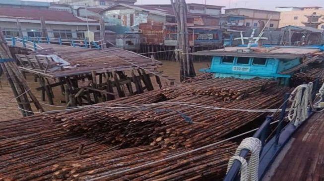 Penyelundupan 5.700 Batang Kayu Ilegal ke Malaysia Digagalkan