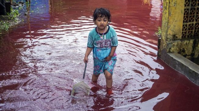 
Seorang anak kecil bermain di jalan perkampungan yang tergenang banjir berwarna merah di Jenggot, Pekalongan, Jawa Tengah, Sabtu (6/2/2021). Menurut warga setempat, air banjir berwarna merah itu disebabkan oleh pencemaran limbah pewarna batik berwarna merah karena di lokasi tersebut terdapat ratusan pelaku usaha batik. [ANTARA FOTO/Harviyan Perdana Putra]