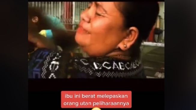 Haru Rawat Orang Utan Seperti Anak Ibu Ini Nangis Serahkan Ke Penangkaran Berita Hits