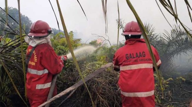 Dalam Sehari, Ada Tiga Titik Lokasi Kebakaran Lahan di Siak