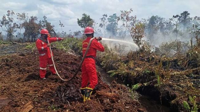 10 Hektare Lahan Gambut Terbakar di Bengkalis, Upaya Pemadaman Terkendala