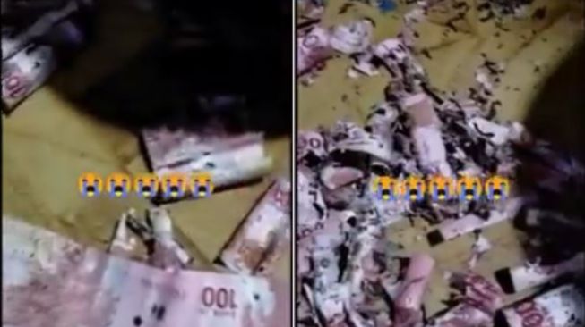 Nyesek! Nabung di Celengan Plastik, Uang Jutaan Rupiah Habis Dimakan Rayap