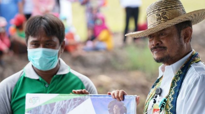 Mentan Saksikan Panen Padi di Food Estate Kalimantan Tengah