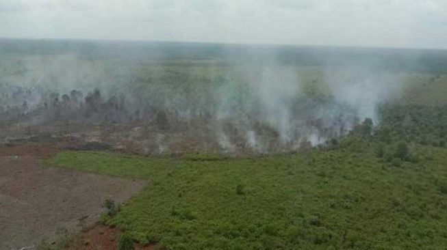 Sudah 18 Hektare Lahan Terbakar, Bengkalis Tetapkan Status Siaga Karhutla