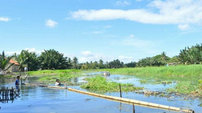 Revitalisasi Sungai Kalimati Capai Rp300 Milyar, Selesai Tahun 2023