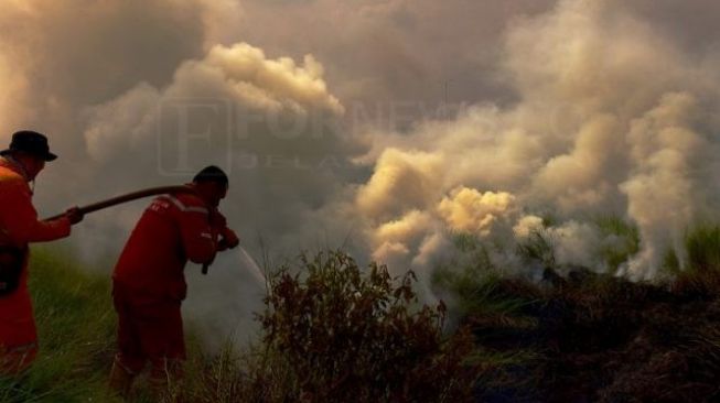 Ini Alasan Gubernur Sumsel Tetapkan Status Siaga Karhutla pada Bulan Maret
