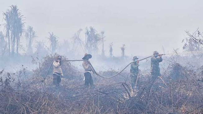 Titik Kebakaran Hutan di Meranti Hilang Setelah Hujan Deras