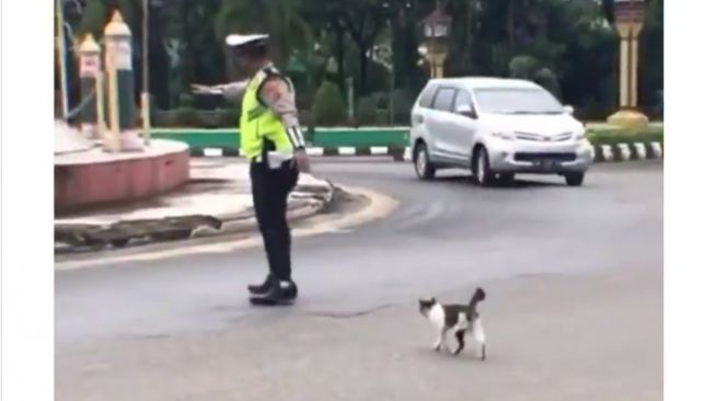 Aksi seorang polisi ingin membantu menyeberangkan menjadi sorotan (Instagram)