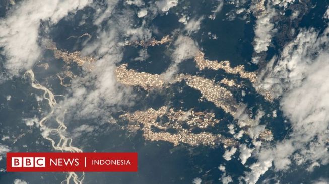 Foto-foto dari NASA Ungkap Keberadaan Sungai Emas di Amazon