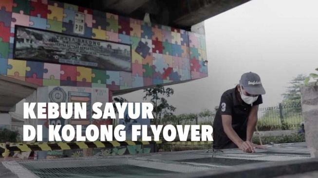 Pandemi: Warga Kelurahan Cipinang Ubah Kolong Flyover Jadi Kebun Sayur