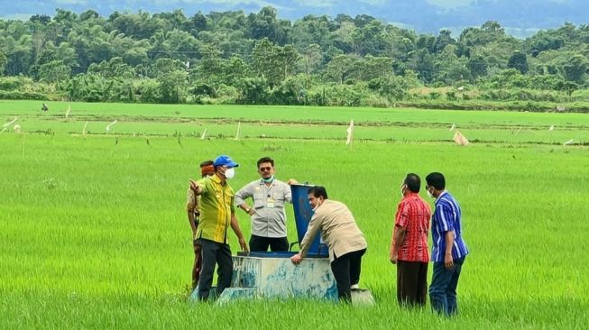 Mentan, Syahrul Yasin Limpo. (Dok : Kementan)