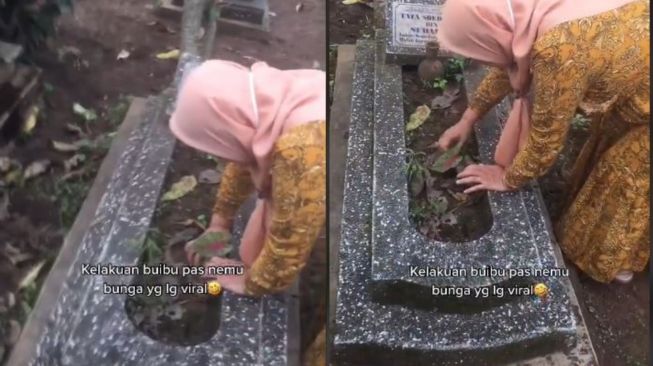 Emak-emak Ambil Tanaman Hias di Kuburan, Nggak Sekalian Batu Nisan?