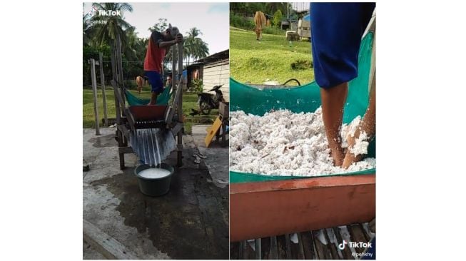 Viral! Pembuatan Minyak Kelapa Diinjak Pakai Kaki, Tuai Perdebatan Publik!