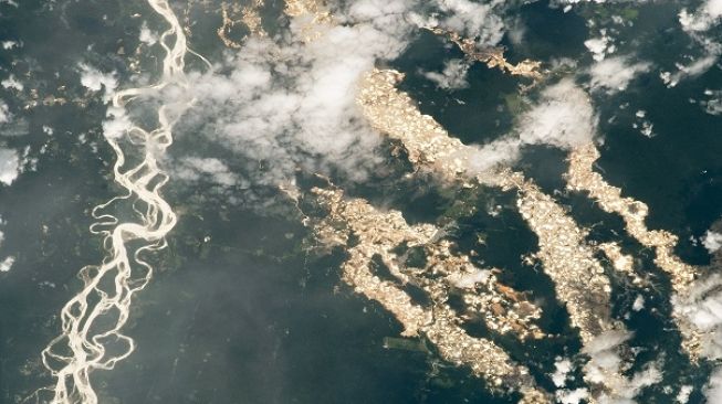 Langka dan Menakjubkan! NASA Rilis Penampakan Sungai Emas Amazon