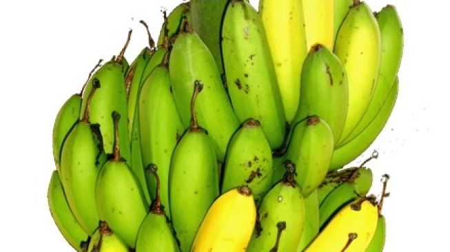 Mengenal Pisang Kepok dan Pisang INA 03, Hasil Pemuliaan Kementan