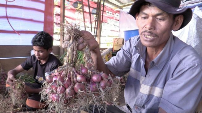 Mulai Panen, Petani Bawang Merah di Ria-Ria Apresiasi Program Food Estate