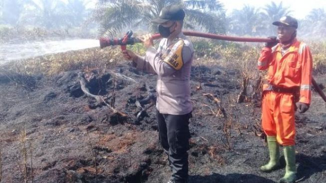 20 Hektare Lahan Sawit di Kabupaten Agam Terbakar