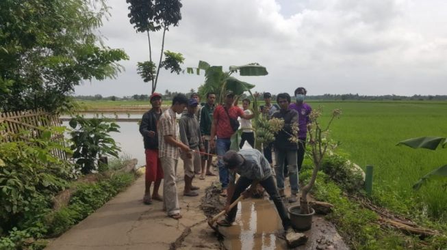 Tuntut Janji Pemkot, Warga dan Santri Selapang Jaya Tanam Pohon di Jalan