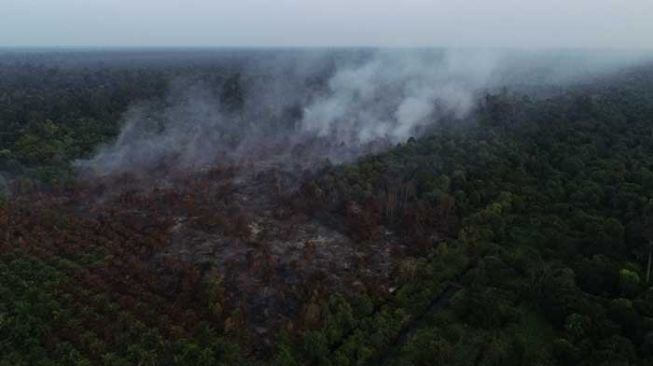 6 Hektare Lahan Gambut di Siak Terbakar, Lokasi 500 Meter dari Perusahaan