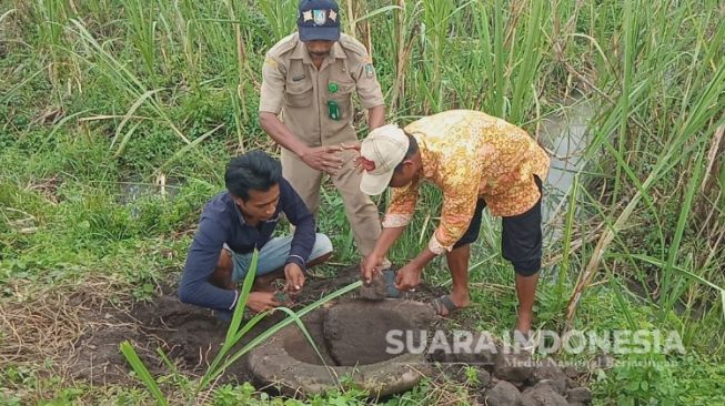 Cangkul Lahan, Warga Jombang Justru Temukan Benda Kuno Ini