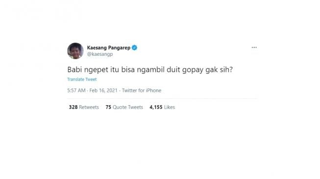 Cuitan Kaesang pertanyakan babi ngepet. [Twitter]