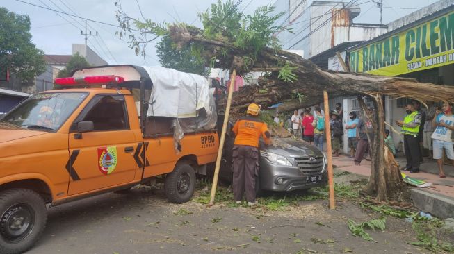 Jember Dilanda Angin Kencang, Kendaraan dan Warga Dilaporkan Terdampak