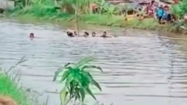 Baru Menikah Belajar Mengemudi, Nahas Mobil Terjun ke Sungai Istri Tewas