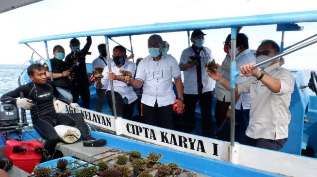 DPR Apresiasi Budidaya Koral di Bali, KPKHN Pastikan Jaga Ekosistem Laut