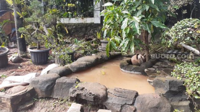 Sejumlah tanaman hias yang dijajakan pedagang di pinggir Jalan TB Simatupang, Jakarta Selatan, rusak setelah diterjang banjir, Minggu (21/2/2021). [Suara.com/Yaumal Asri Adi Hutasuhut] 