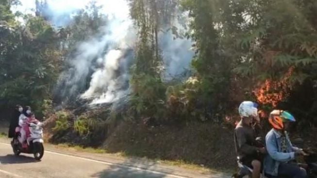 Meluas, Karhutla di Pesisir Selatan Mendekati Pemukiman Warga