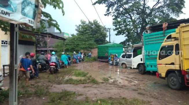 Pohon tumbang menutup jalan provinsi di Kecamatan Bontonompo, Gowa. Membuat kemacetan hingga 3 kilometer, Senin 22 Februari 2021 / [SuaraSulsel.id / Istimewa]