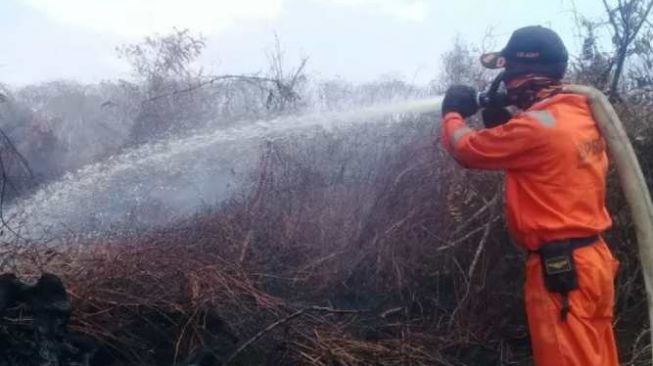 HUT ke-23 Kota Batu Diwarnai Kebakaran Lahan dan Pohon Tumbang