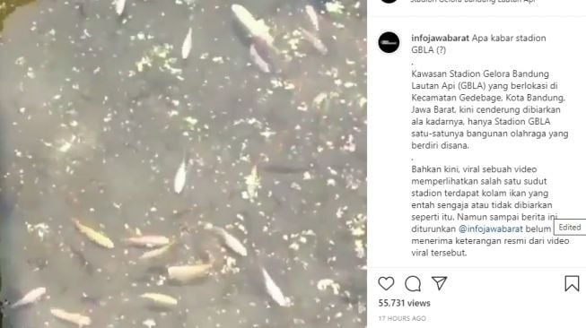 Tangkapan layar video viral mengenai adanya kolam ikan di dalam Stadion GBLA Kota Bandung. [Tangkapan Layar Instagram @infojawabarat]