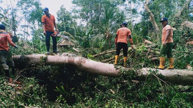 Gianyar dikepung bencna alam mulai dari hujan, pohon tumbang hingga longsor. (Beritabali)