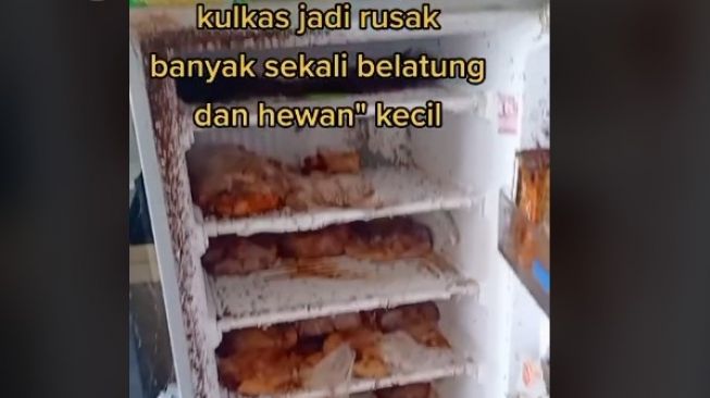 Kondisi apartemen setahun tak ditinggali. (TikTok/@dhita_tembbemb)