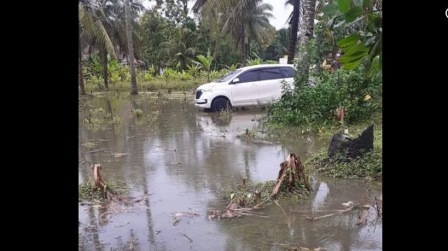 Viral Toyota Avanza Nyasar di Kebun Pisang Bikin Geger, Tak Ada Pelat Nomor