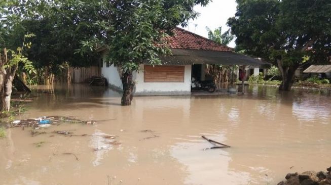 Jembrana Banjir, Puluhan Rumah Terendam di Desa Pengambengan