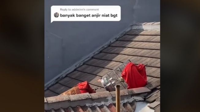 Rumah dibobol maling. (Tiktok/@adityawira98)